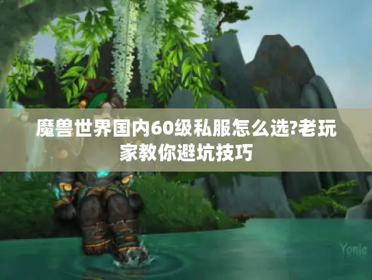 魔兽世界国内60级私服怎么选?老玩家教你避坑技巧 魔兽世界国内60级私服怎么选?老玩家教你避坑技巧
