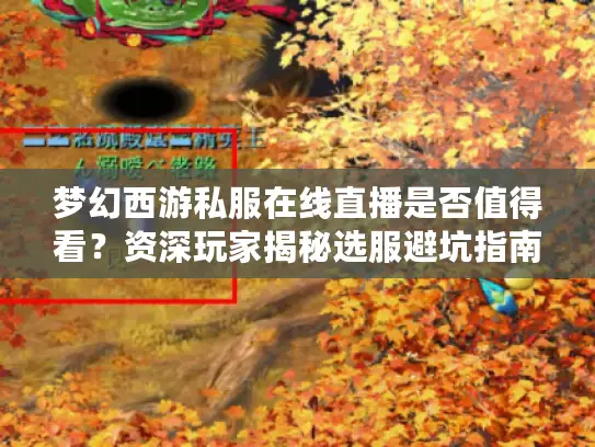 梦幻西游私服在线直播是否值得看？资深玩家揭秘选服避坑指南
