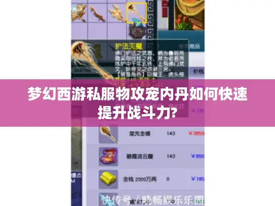 梦幻西游私服物攻宠内丹如何快速提升战斗力?