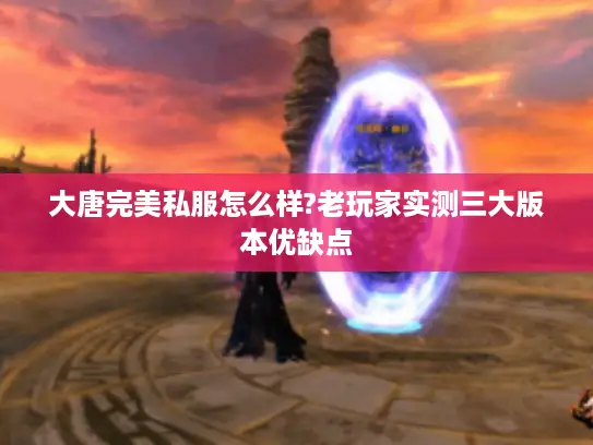 大唐完美私服怎么样?老玩家实测三大版本优缺点