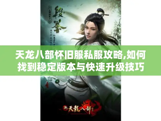天龙八部怀旧服私服攻略,如何找到稳定版本与快速升级技巧