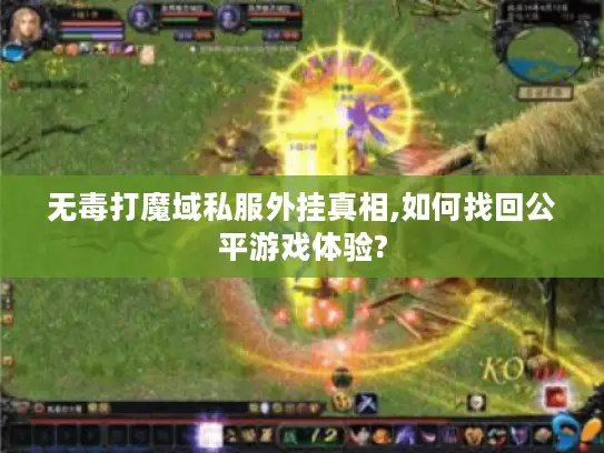 无毒打魔域私服外挂真相,如何找回公平游戏体验? 无毒打魔域私服外挂真相,如何找回公平游戏体验?