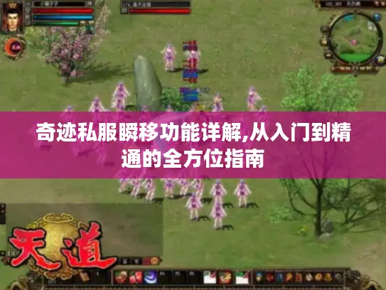 奇迹私服瞬移功能详解,从入门到精通的全方位指南