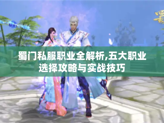 蜀门私服职业全解析,五大职业选择攻略与实战技巧