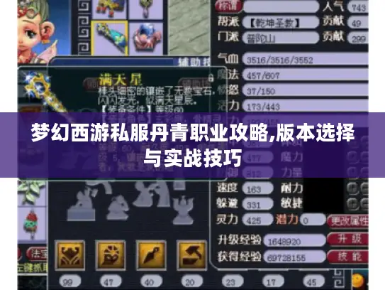 梦幻西游私服丹青职业攻略,版本选择与实战技巧