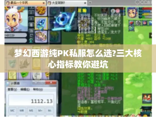 梦幻西游纯PK私服怎么选?三大核心指标教你避坑