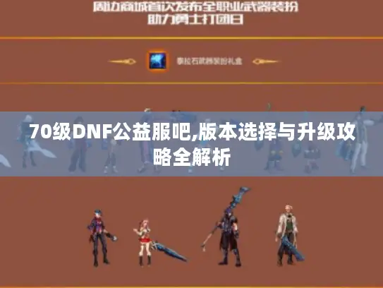 70级DNF公益服吧,版本选择与升级攻略全解析