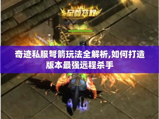 奇迹私服弩箭玩法全解析,如何打造版本最强远程杀手