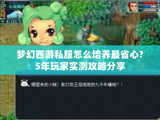 梦幻西游私服怎么培养最省心?5年玩家实测攻略分享 梦幻西游私服怎么培养最省心?5年玩家实测攻略分享