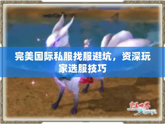 完美国际私服找服避坑，资深玩家选服技巧