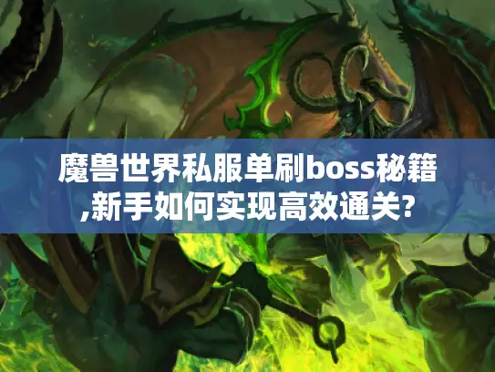 魔兽世界私服单刷boss秘籍,新手如何实现高效通关?