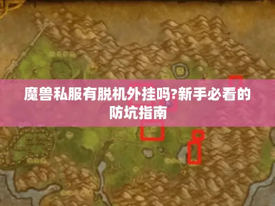 魔兽私服有脱机外挂吗?新手必看的防坑指南