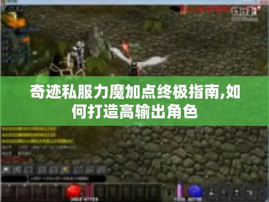 奇迹私服力魔加点终极指南,如何打造高输出角色