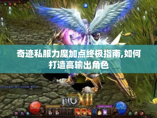 奇迹私服力魔加点终极指南,如何打造高输出角色
