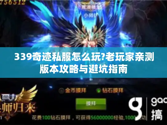 339奇迹私服怎么玩?老玩家亲测版本攻略与避坑指南