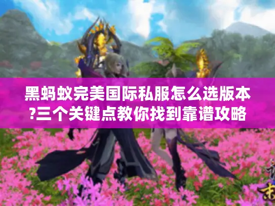 黑蚂蚁完美国际私服怎么选版本?三个关键点教你找到靠谱攻略