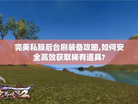 完美私服后台刷装备攻略,如何安全高效获取稀有道具?