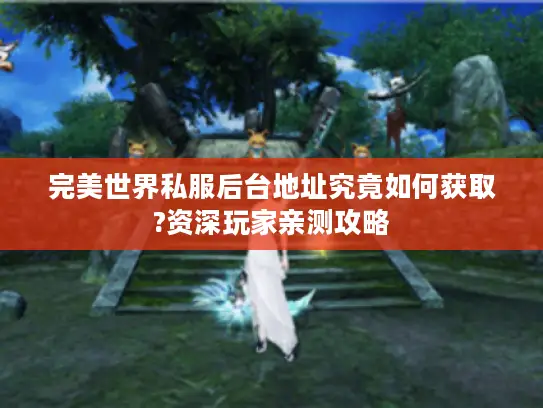 完美世界私服后台地址究竟如何获取?资深玩家亲测攻略 完美世界私服后台地址究竟如何获取?资深玩家亲测攻略