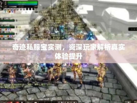 奇迹私服宝实测，资深玩家解析真实体验提升