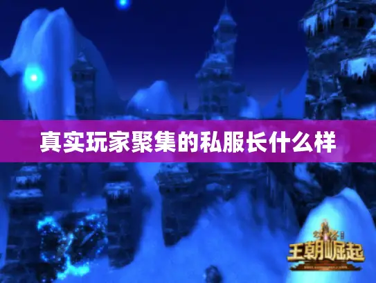 真实玩家聚集的私服长什么样