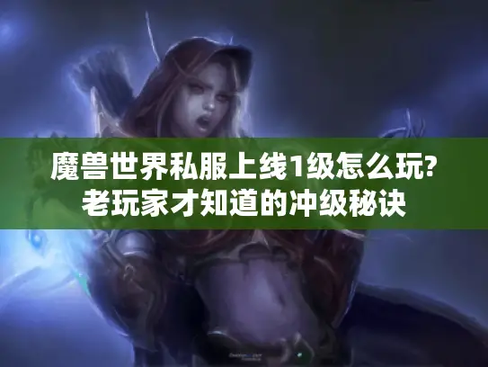 魔兽世界私服上线1级怎么玩?老玩家才知道的冲级秘诀
