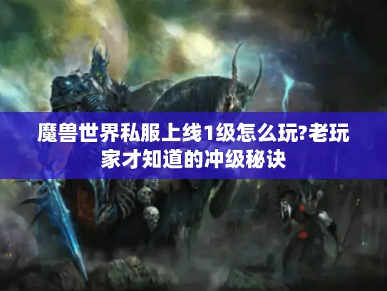 魔兽世界私服上线1级怎么玩?老玩家才知道的冲级秘诀