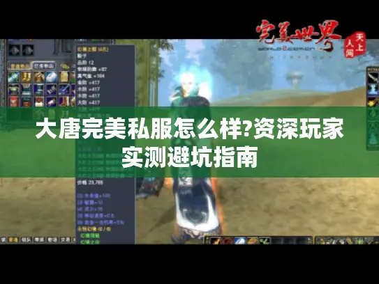 大唐完美私服怎么样?资深玩家实测避坑指南