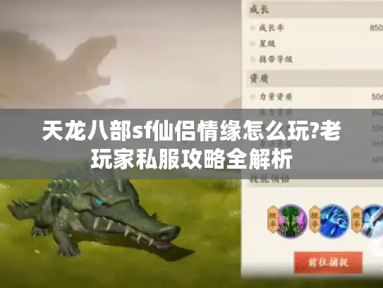 天龙八部sf仙侣情缘怎么玩?老玩家私服攻略全解析