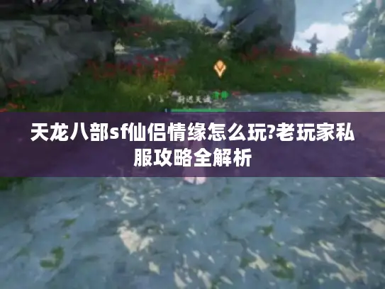 天龙八部sf仙侣情缘怎么玩?老玩家私服攻略全解析 天龙八部sf仙侣情缘怎么玩?老玩家私服攻略全解析