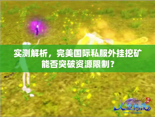 实测解析，完美国际私服外挂挖矿能否突破资源限制？
