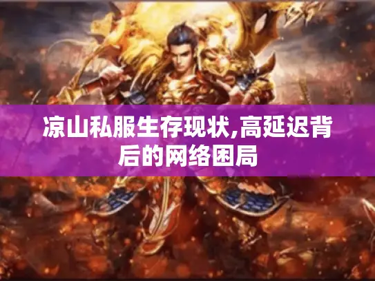 凉山私服生存现状,高延迟背后的网络困局
