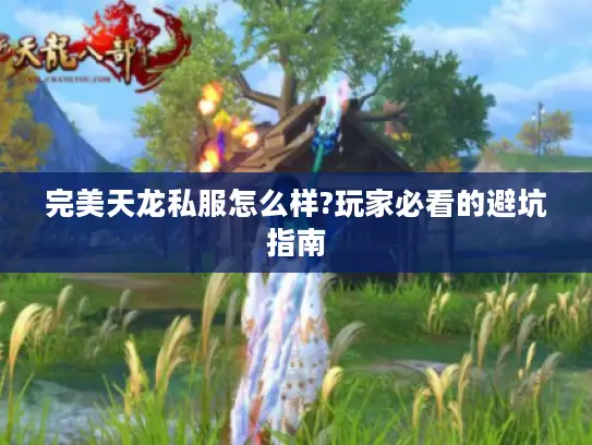 完美天龙私服怎么样?玩家必看的避坑指南