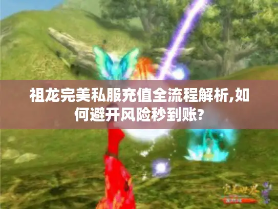 祖龙完美私服充值全流程解析,如何避开风险秒到账?