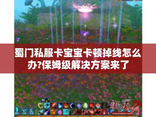 蜀门私服卡宝宝卡顿掉线怎么办?保姆级解决方案来了