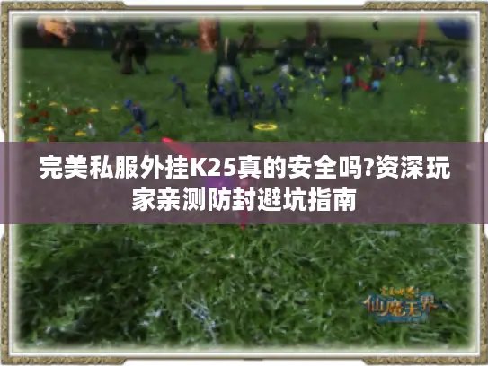 完美私服外挂K25真的安全吗?资深玩家亲测防封避坑指南