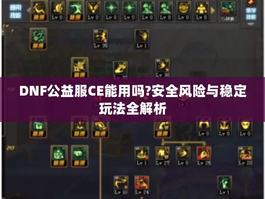DNF公益服CE能用吗?安全风险与稳定玩法全解析