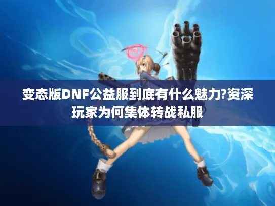 变态版DNF公益服到底有什么魅力?资深玩家为何集体转战私服