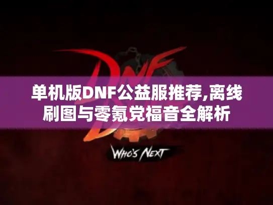 单机版DNF公益服推荐,离线刷图与零氪党福音全解析