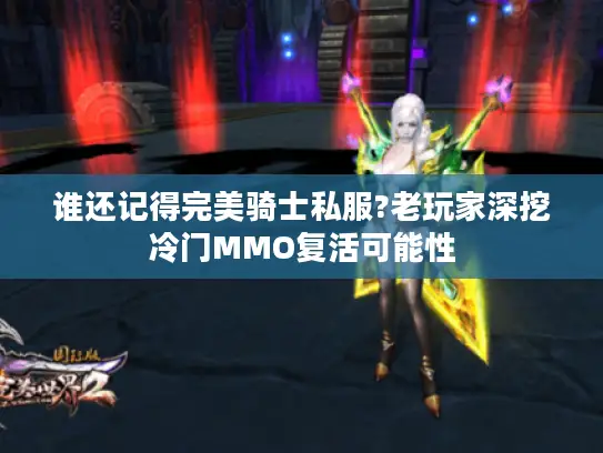 谁还记得完美骑士私服?老玩家深挖冷门MMO复活可能性