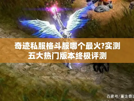 奇迹私服格斗服哪个最火?实测五大热门版本终极评测 奇迹私服格斗服哪个最火?实测五大热门版本终极评测