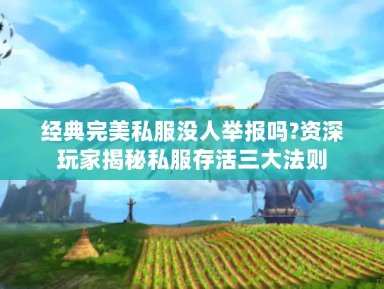 经典完美私服没人举报吗?资深玩家揭秘私服存活三大法则
