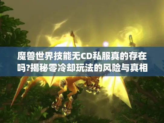 魔兽世界技能无CD私服真的存在吗?揭秘零冷却玩法的风险与真相