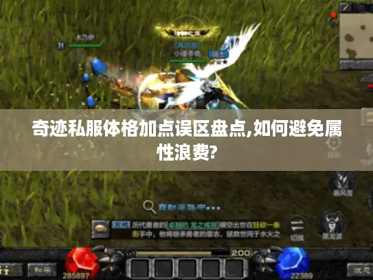 奇迹私服体格加点误区盘点,如何避免属性浪费?