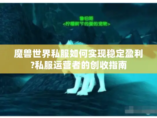 魔兽世界私服如何实现稳定盈利?私服运营者的创收指南