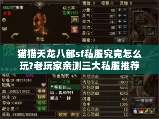 猫猫天龙八部sf私服究竟怎么玩?老玩家亲测三大私服推荐