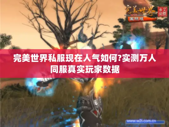 完美世界私服现在人气如何?实测万人同服真实玩家数据 完美世界私服现在人气如何?实测万人同服真实玩家数据
