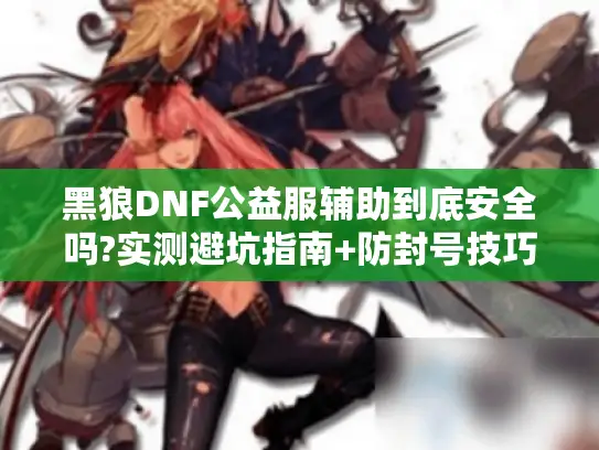黑狼DNF公益服辅助到底安全吗?实测避坑指南+防封号技巧