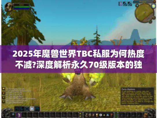 2025年魔兽世界TBC私服为何热度不减?深度解析永久70级版本的独特魅力