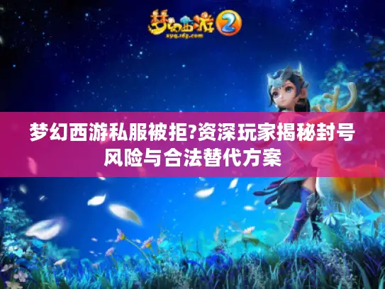 梦幻西游私服被拒?资深玩家揭秘封号风险与合法替代方案