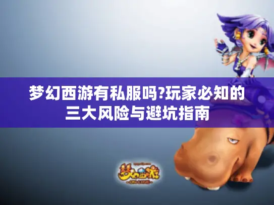 梦幻西游有私服吗?玩家必知的三大风险与避坑指南